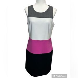 Banana Republic Women’s Sleeveless Colorblock Sheath Dress Size 8